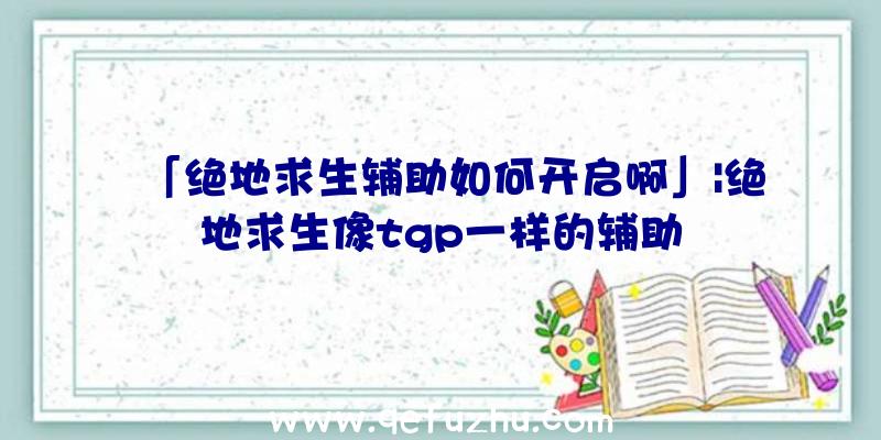 「绝地求生辅助如何开启啊」|绝地求生像tgp一样的辅助